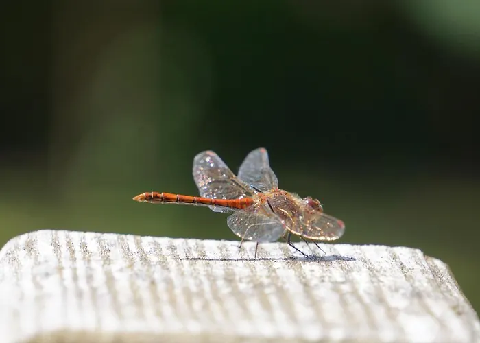 Ranczo U Jana بيت للعطل *